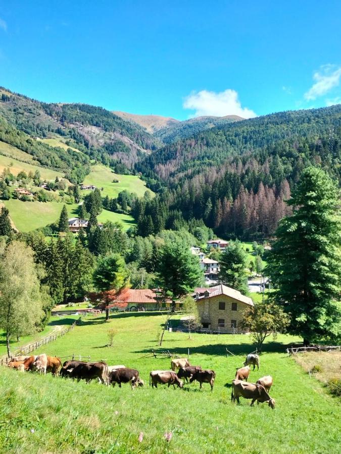 Casa Vacanza Pieve Pisogne Dış mekan fotoğraf