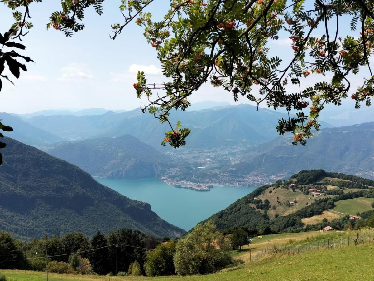 Casa Vacanza Pieve Pisogne Dış mekan fotoğraf